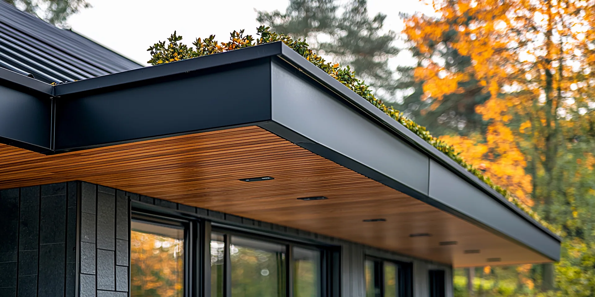 Black metal fascia green roof edge wood soffit, Lake Mary